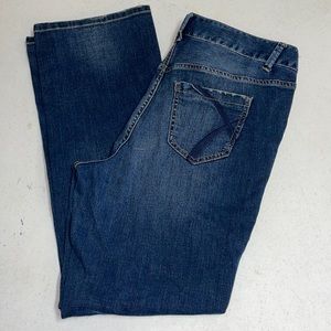 Lane Bryant Distinctly Boot Cut Jeans